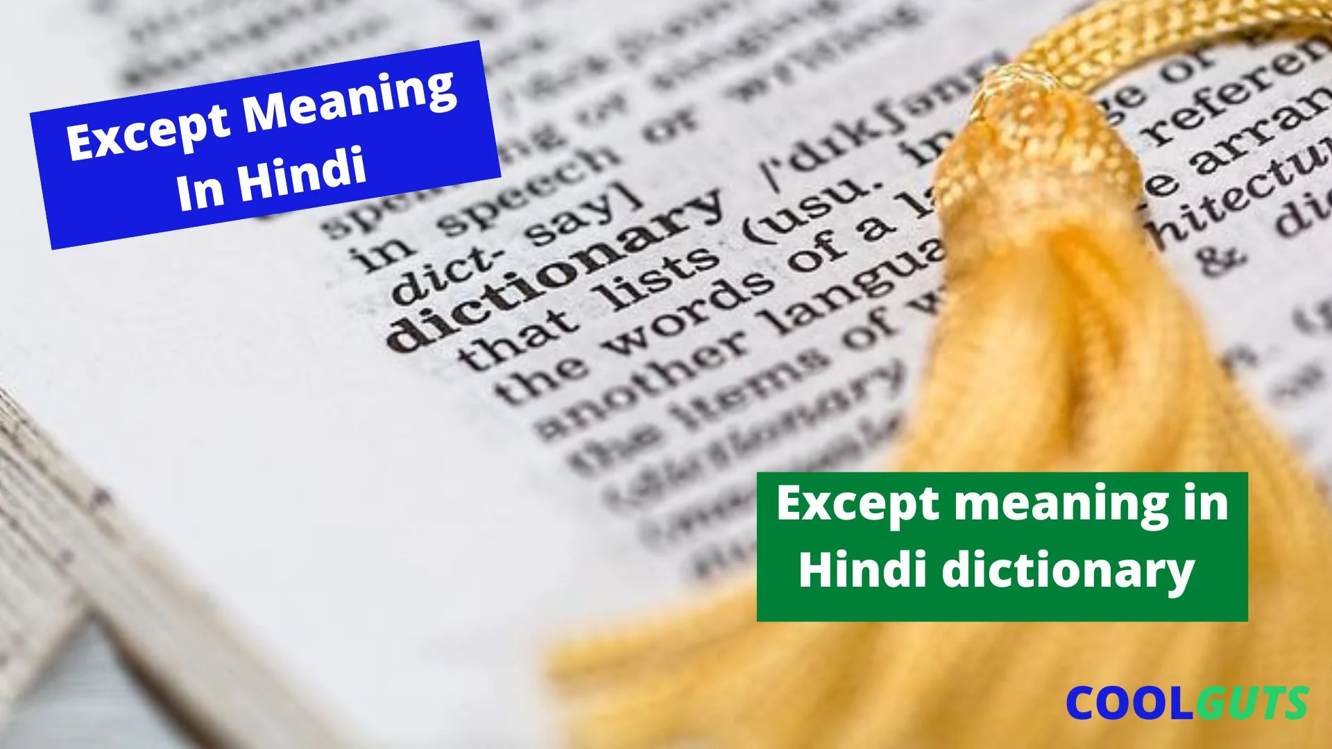 Except Meaning in Hindi