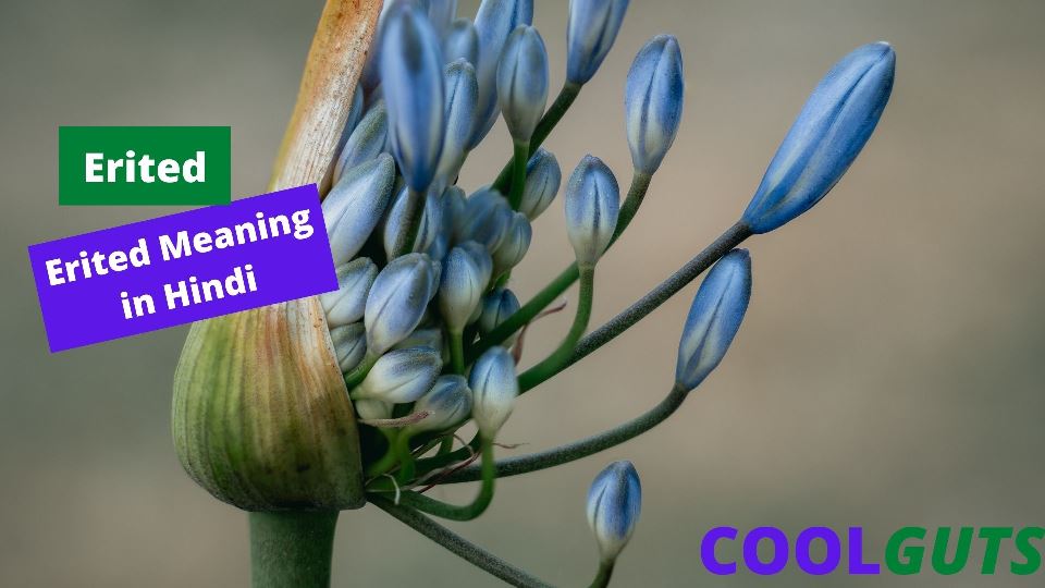 Erited Meaning in Hindi