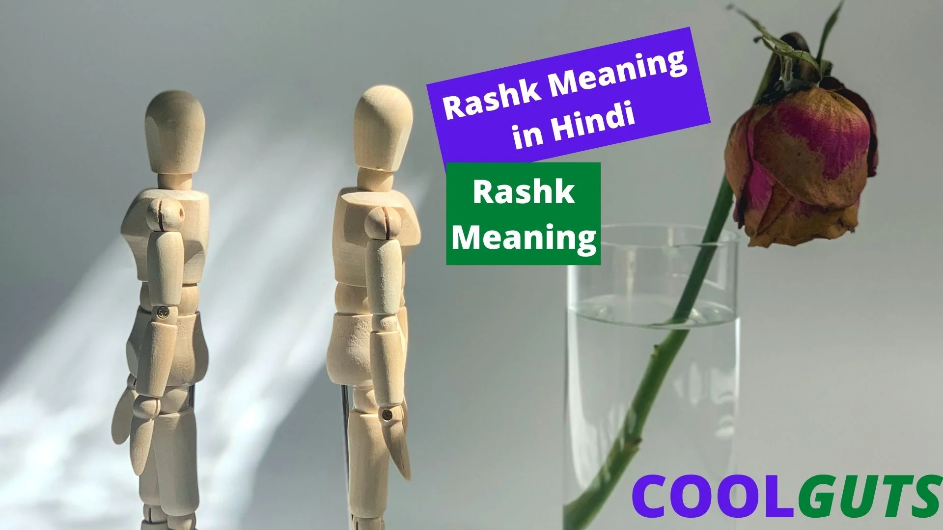 Rashk Meaning in Hindi