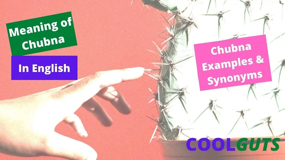 Chubna Meaning in English