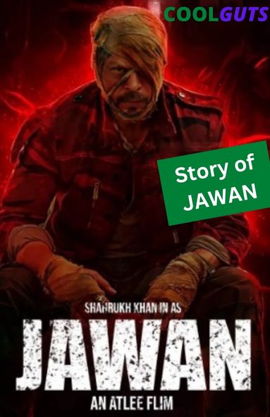 Story Of Film Jawan